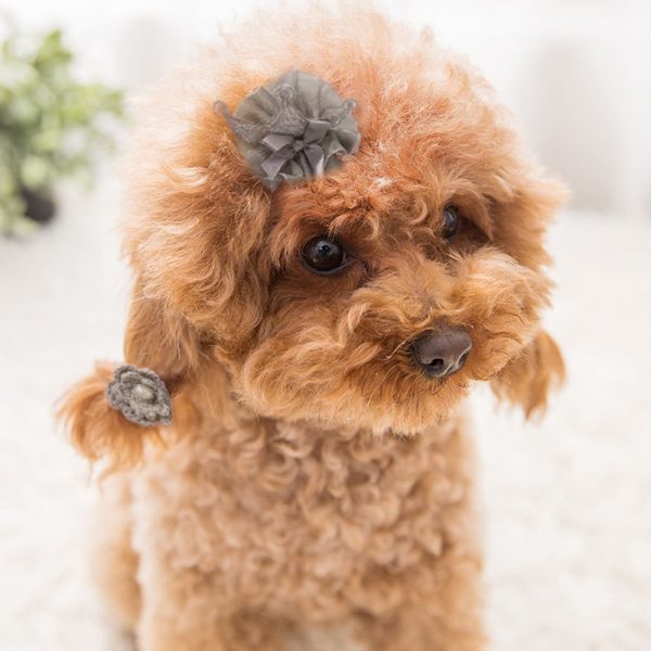 Pet Decoration Hairpin